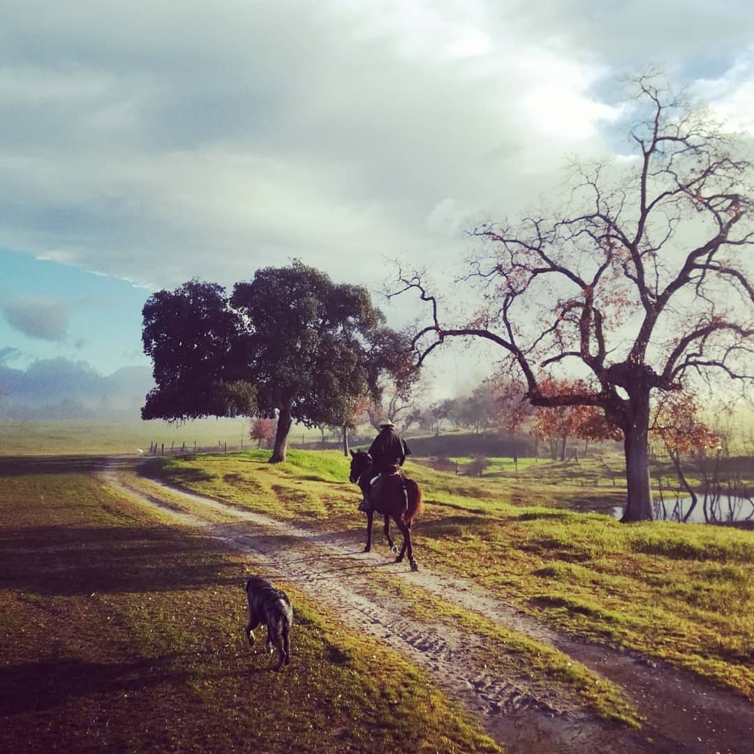 CASA CUERVO / OLFACTORY DIGRESSION