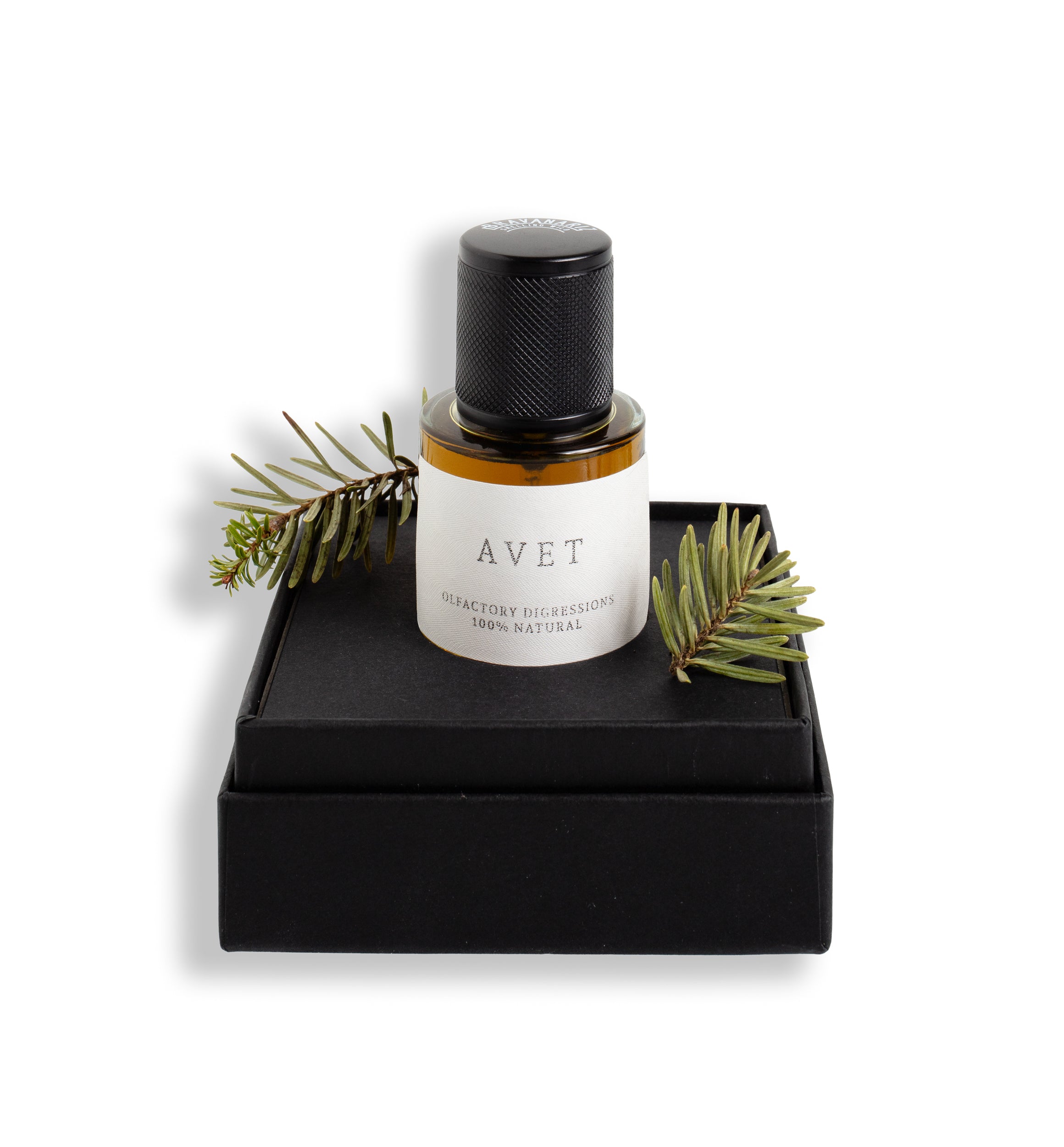 AVET Olfactory Digressions